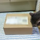 한보코리아 주식회사