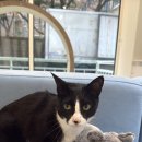 오묘화당 이미지