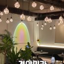 경양미가 이미지