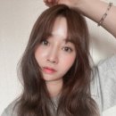 라벤더에쉬 이미지