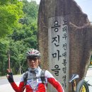 라온 Daum카페