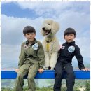 단양하늘꿈 이미지