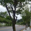 번영로길 이미지