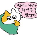 조흥프라자텔 이미지