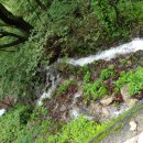 천년농장 이미지