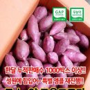 쇼핑의꿀맛