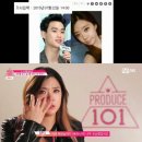 101 스포츠조선