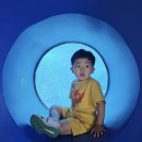 명성아쿠아 | 제주 아쿠아플라넷 아이와 방문 후기｜비 오는 날 실내 관광지, 오션 아레나 공연까지