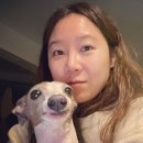 신월동008 이미지