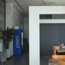 대포리 | 속초 대포리 횟집 후기｜대포항 물회·제철 회 코스 맛집 추천