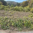 남해-306 이미지