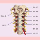 노원자생한방병원 이미지