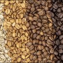 바리스타(2급) 이미지