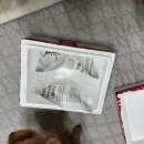 강아지 한입케이크 내돈내산 후기 / 간식주까yes