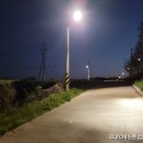 임월교 앞 이미지