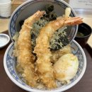 [남악 맛집] 텐동 처음 먹어본 사람의 텐텐동 솔직후기