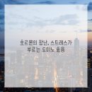 브이의원 이미지