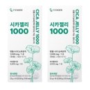 단비쿠키