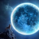 단원구청 화장실 이미지