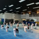 국가대표MAS유아체육태권도줄넘기 이미지