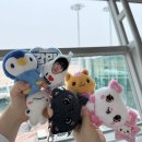 [3박 4일 칭다오 도파민 여행] 믹스몰 I 카오위 I 타이동 야시장 I 태평산 케이블카 I 희가훠궈 I 54...