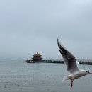 [칭다오 여행] 왕초보도 즐긴 칭다오 2박3일 자유여행, 비와도 괜찮아요 나름 완벽 코스^_^