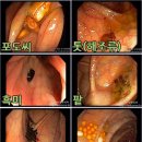 장안속내과 이미지