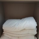 더반힐리조트펜션