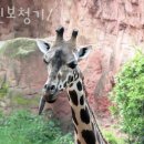 초이스이비인후과의원 이미지