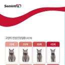 만안구청-13 네이버블로그