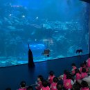 시립 산내마을10단지 어린이집 이미지