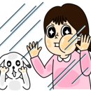 왈왈펫카페 이미지