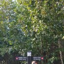 김삿갓면-39 이미지