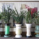 부창한정식 이미지