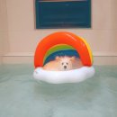 포레스트258/포레스트258펜션 이미지