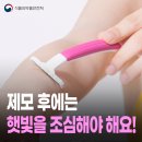 햇빛누리 이미지