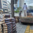 달서건재 이미지