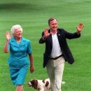 퍼스트펫 이미지