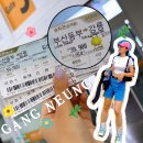 부산 강릉 버스 부산에서 강원도 버스 시간표 가격