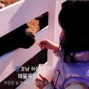 [경남 하동] 해뜰목장_솔직후기_경남 아이랑 가볼만한 곳_하동 체험