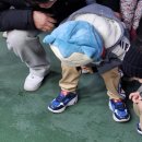 대명항 1로 | [공지] 진짜 항구 - 김포 대명항 수산물 직판장 구경 후기