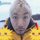 소새끼 이미지