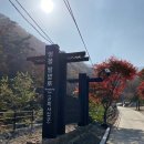 용하공원 2주차장 네이버블로그