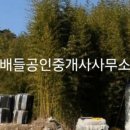 복내면사무소 이미지