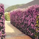 거창사건 추모공원 이미지