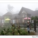 솔밭팬션 이미지