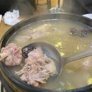 목포옻닭 이미지