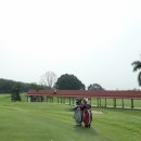 하버드골프연습장 이미지