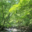 7/20(일)주암계곡 물놀이＞＞집합시간 변경 이미지