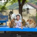 제18회 당진전국사진공모전 수상작품 심사 | 캡컷 처음 써본 편집 고자의<동물사랑사진공모전> 숏폼 수상 후기